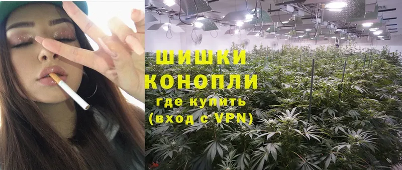 где можно купить   Лодейное Поле  Марихуана OG Kush 